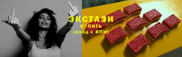 ECSTASY Горняк